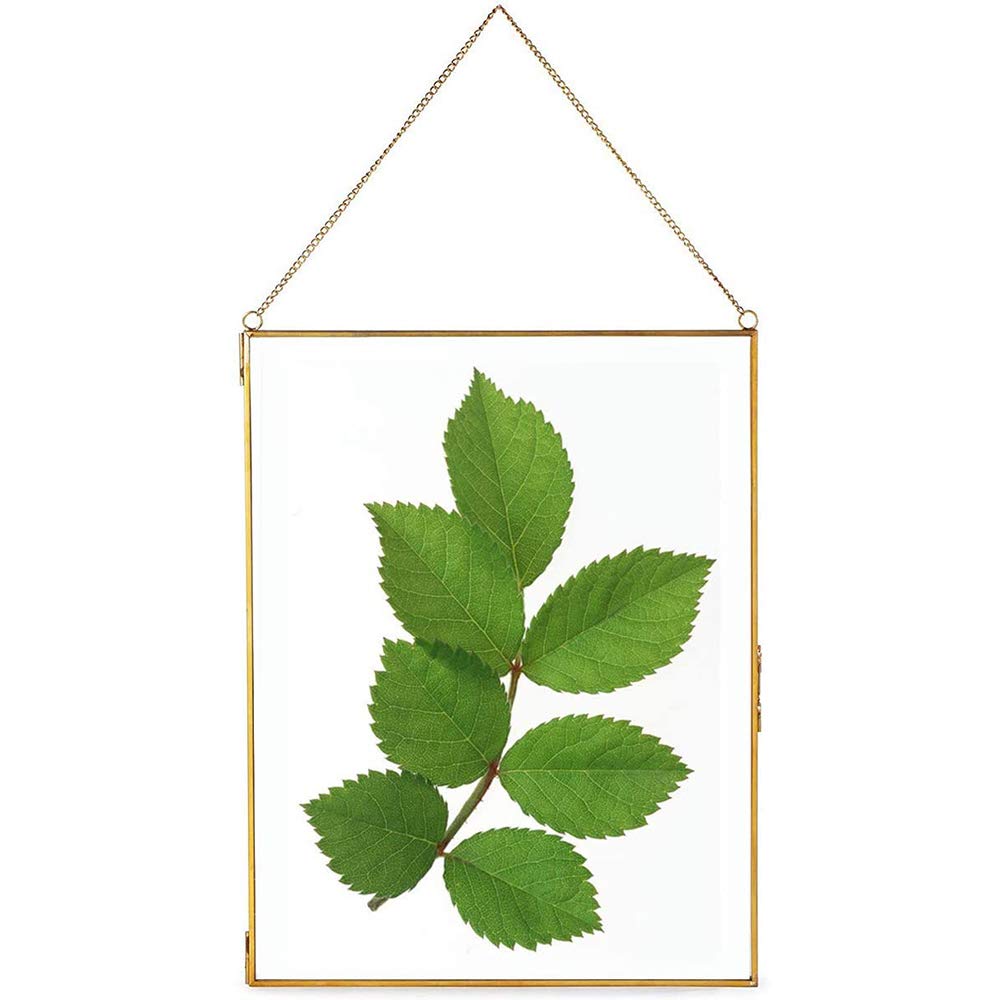 fujackGlass Frame for Dried Flowers, Glass Brass Photo Frame for Wall Hanging Decor Display DIY Pressed Flowers Plant Specimen Picture Frame Geometric Ornament 8x12 Inches
