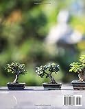 Zoom IMG-1 bonsai tree a visual journey Zoom IMG-1 bonsai tree a visual journey