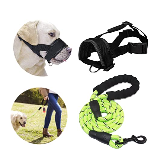 BDSHUNBF Correa Perro, Nylon Correa de Perro con Mango Acolchado Suave y Hilos Reflectantes, Adecuado para Correr Senderismo, Ajustable Bozal para Perros, para Perros Pequeños Medianos y Grandes Cover