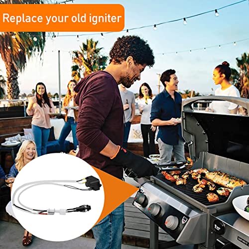 image for Grisun 7642 Grill Igniter for Weber Spirit 310 & Spirit 210 Gas Grill 