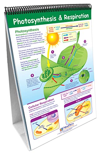 Image of NewPath Learning 10 Piece Mastering Middle School Life Science Curriculum Mastery Flip Chart Set, Grade 5-9 Multi, 12 L X 18 W in