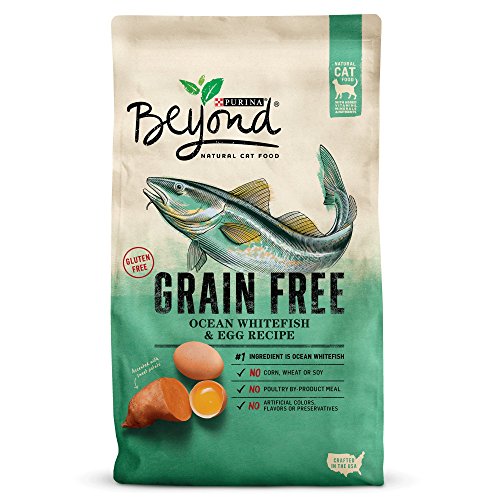 Purina Beyond Grain Free Recipe Adult Dry Cat Food Amazon price