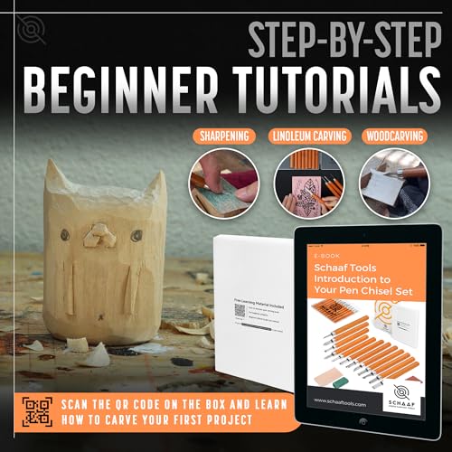 Schaaf Beginner Wood Carving Kit