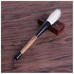 SHENGXINA Kalligraphie Pinsel 5 Arten Ölfarben