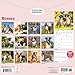 Carousel Calendars, Boxers 2026 Wall Calendar, 12'' X 12'', 16-Month Calendar with Stapled Binding
