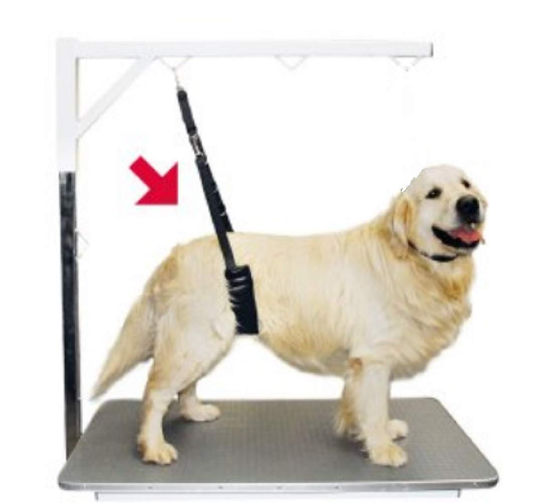 Show Tech - Sangle de toilettage Ventrale Confort : Grand Chien