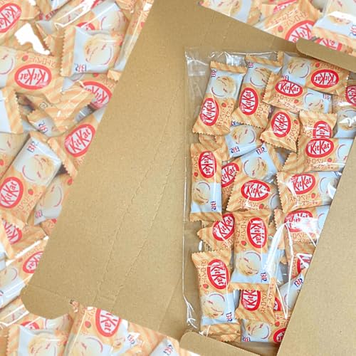 Lbg Jbg Xgx[`[YP[L 450g ܖ2026.4 e Ɩp TCY  َq `R[g `R  ܂Ƃߔ