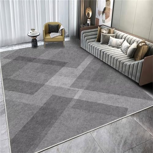 Tapis pas cher gris lavable pour stopper les poils d'animaux - 2