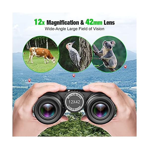 Fernglas, 10x42 Ferngläser HD Wasserdicht Fernglas für Kinder und Erwachsenemit wenig Licht Nachtsicht, fernglas kompakt… – Bild 4