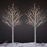 LIGHTSHARE 8 Feet Birch Tree, 132 LED Lights, Warm White, for Home,Set of 2, Festival, Party, and Christmas Decoration, Indoor and Outdoor Use