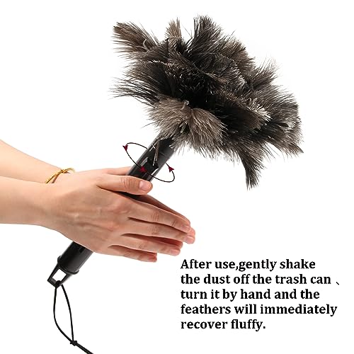 Image of Retractable Ostrich Feather Duster for Cleaning, 15 Inch Fluffy and Natural Feather Duster with Retractable Handle, Reusable Eco-Friendly Handheld Cleaning Supplies(5PCS)