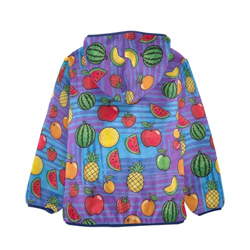 CHIFIGNO Colorful Fruit Toddler Boys Polar Fleece Lined Winter Jacket, Toddler Boy Sweatshirt with Hooded 3T2