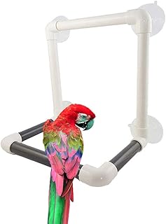 Bird Portable Suction Cup Shower Perch Window Wall Stand Platform for Medium Large Parrot Macaw African Greys Amazon Cockatoo Parakeet Cockatiel Conure Budgie Lovebirds Finch Canary Bath Toy
