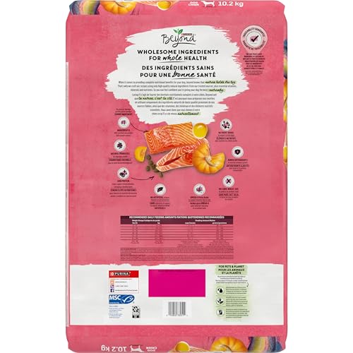 Beyond Superfood Blend Natural Dry Dog Food, Wild Caught Salmon, Egg & Pumpkin - 10.2 kg Bag image 5