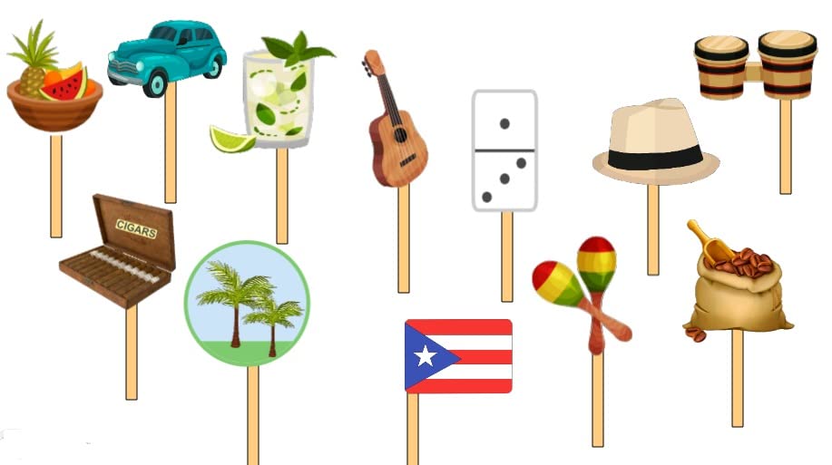 12 Puerto Rico Party Cupcake Toppers Food Picks Party Decorations