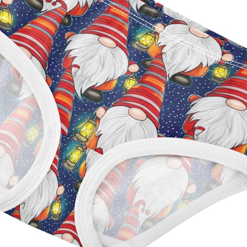 Joisal Girls Underwear Toddlers 2t Cotton Little Girl Panties Animals Briefs Underpants Christmas Gnomes Starry Blue4