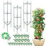 Tomato Cage, Tomato Plant Support Trellis for Garden &...