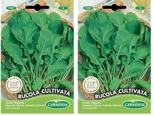 Germisem Rucola Cultivata Semillas de Rúcula 8 g (EC7001) (Paquete de 2)