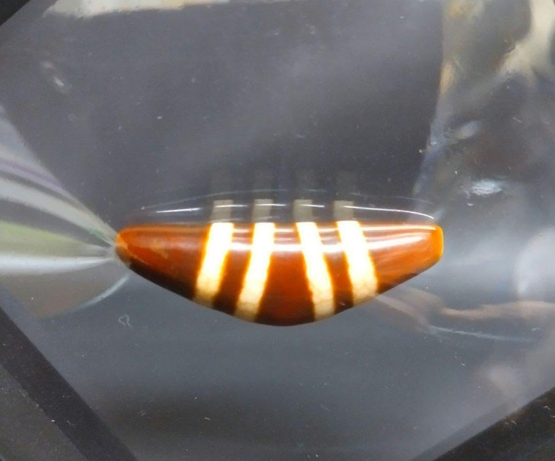 637天珠 上肯天珠 湾月 四線天珠 dzibeads 663 天
