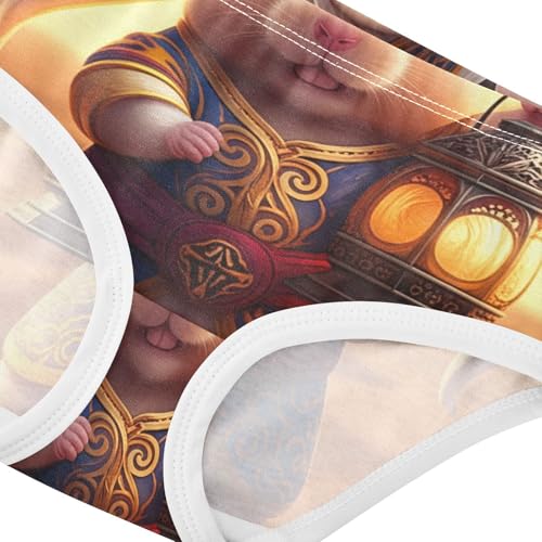 Cute Hamster Traditional Eastern Girls Underwear Toddler 2t Cotton Little Girl Panties Colorful Kids Undies Briefs4