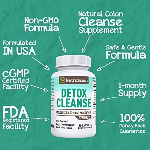 Whole Body Detox Cleanse | 10-in-1 Cleanse with Psyllium, Bentonite Clay, Slippery Elm, Aloe Vera, Black Walnut… - Image 5