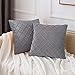 O'woda Juego de 2 Terciopelo Funda de Cojine 45 x 45 cm, Funda de Almohada del Sofá Cojín Sala de Estar Decoración, Gris