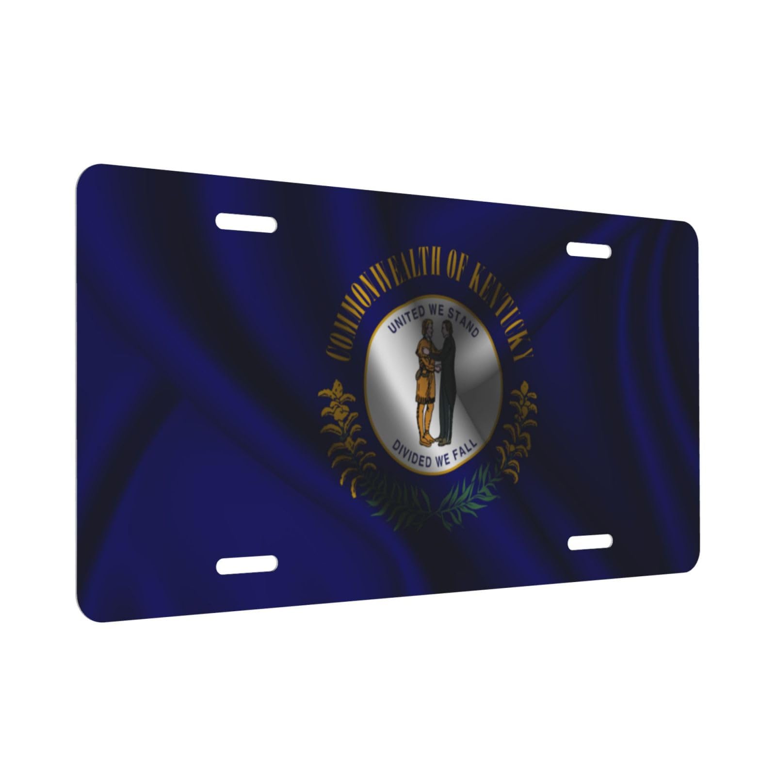 Stockdale Houston Texans Wood Design Acrylic License Plate