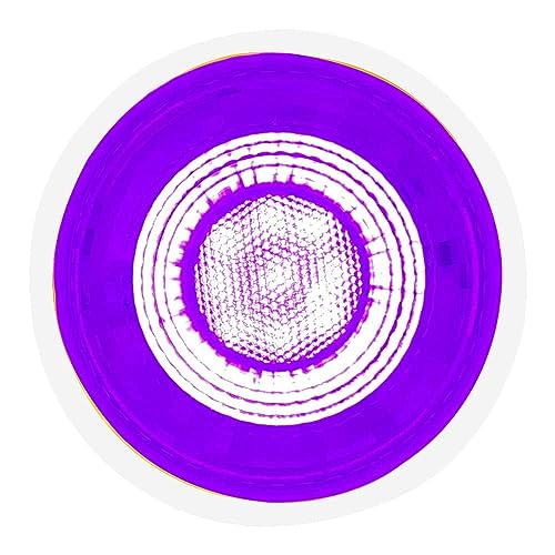 Reviews y listado de Foco morado tabla con los diez mejores. 11 Imagen adicional