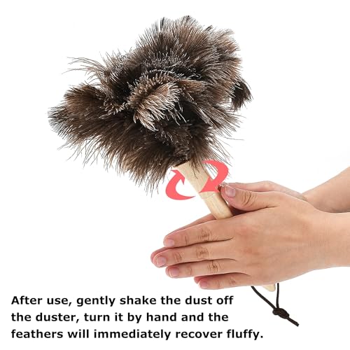 Image of Ostrich Feather Duster 11.02 inch Premium Feather Duster with Wooden Handle Delicate Surfaces Cleaning Supplies for Car Home Office