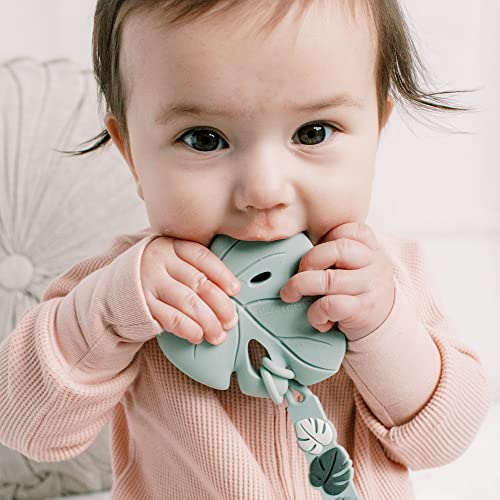 Image of Loulou Lollipop Silicone Teether for Teething Baby Boy and Girl - Monstera Seafoam