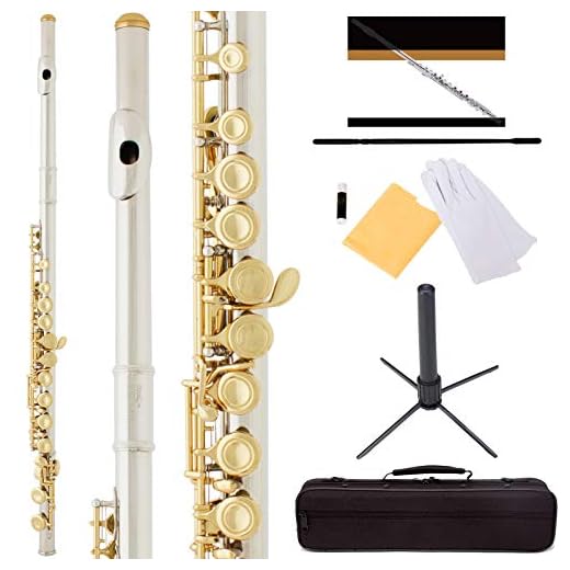 Mendini by Cecilio Premium Grade Closed Hole C Flute with Stand, Book, Deluxe Case and Warranty (Nickel Plated + Gold Keys)