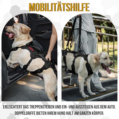 OneTigris Hundegeschirr, Tragehilfe Hund groß Ganzkörper Mit 2 Schultergurte Abnehmbares, Hund Tragehilfe Verstellbare Rückenlänge für Rüden und Hündinnen, Sicherheitsgeschirr mit 3 Griffen, M Schwarz