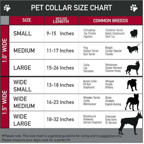 Chaîne cubaine chat évite les colliers ternes grâce à l'initiale D