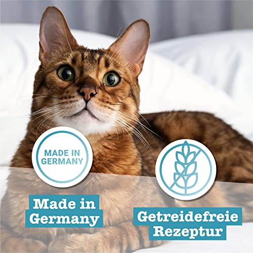 catz finefood N° 13 Hering & Shrimps Feinkost Katzenfutter nass, verfeinert mit Kürbis & Aloe Vera, 6 x 200g Dosen