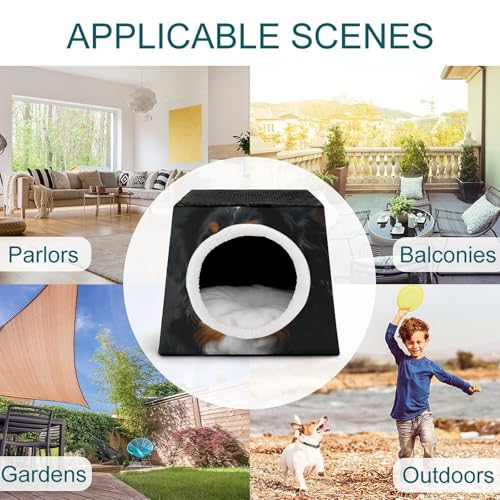 Cabane bernoise pour chat maison chaude pour animaux domestiques