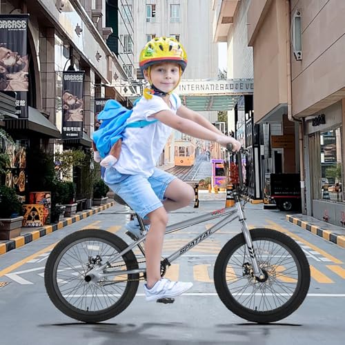 SPATIAL BMX Bike, Freestyle Race Bike Trident Bicycles