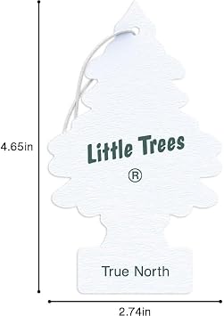 Little Trees True North Scent Air Freshener3