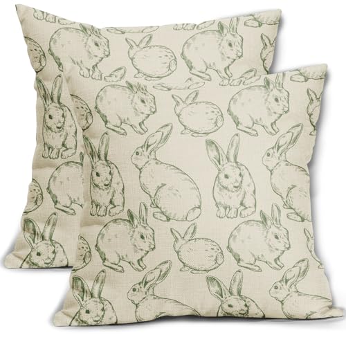 Sweetshow Easter Pillow Covers 20x20 Set of 2 Cute...