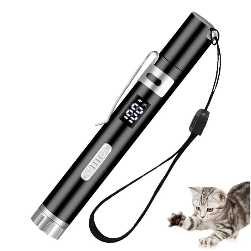 Interactive toys for cats and dogs Kitten Practice Chaser Toys