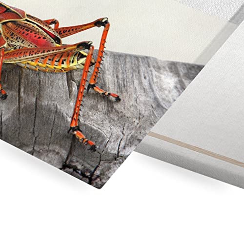 Tableau sauterelle rouge toile décorative pour mur vide