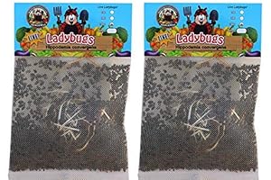 3000 Live Ladybugs - (2 X 1500 Live Ladybugs) - Guaranteed Live Delivery!