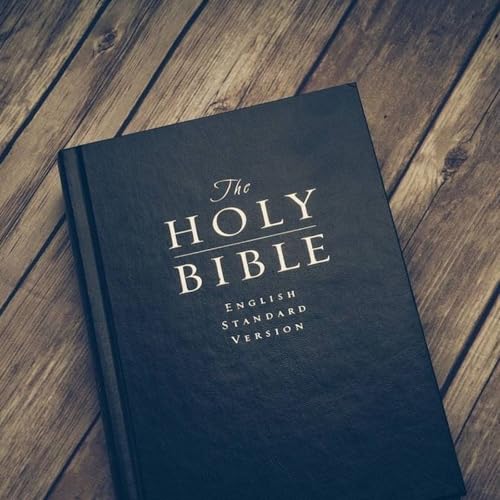 Bible Gum Podcast - The Power of Patience