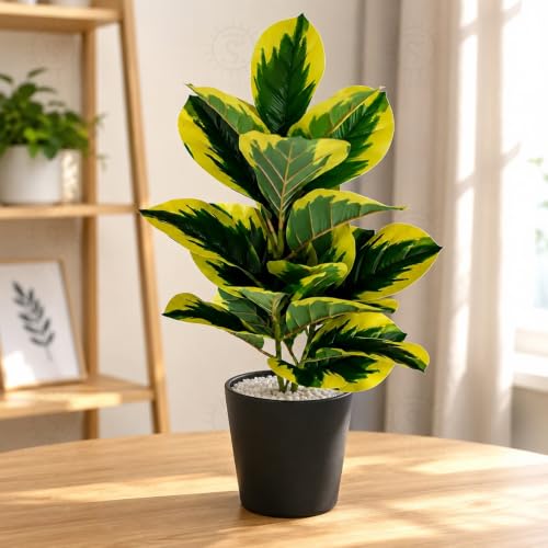 SHAKTISM Artificial Fiddle Leaf Fig Tree, 75 cm Height, Realistic...