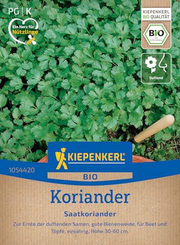 Kiepenkerl BIO Koriandersamen Saatkoriander 1054420 - Das perfekte Saatgut mit duftenden Samen. Für alle Gartenliebhaber die ein Herz für Nützlinge haben. - Koriandersamen
