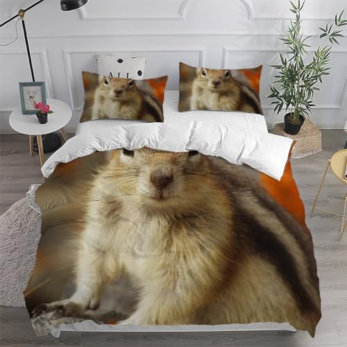 Housse de couette écureuil imprimé 3D en microfibre durable lit king pour chambre garçon - 6