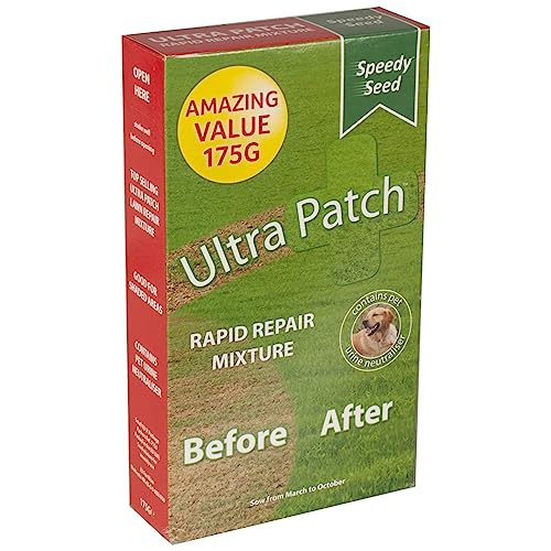 Lawn Disease Treatment