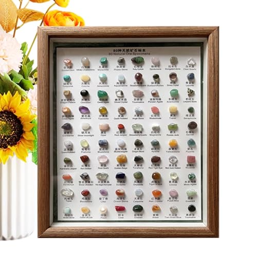 y minerales, 80 Piedras Preciosas portátiles en Bruto para colección, Juego de Cristales en Bruto, Kit de identificación de Piedra con Marco de Madera, decoración del hogar para niños