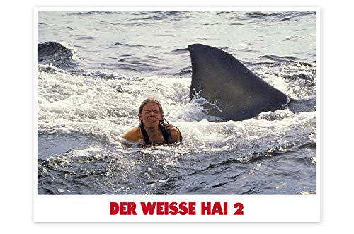 Der weiße Hai 2 – 4K Steelbook (UHD + Blu-ray Disc)