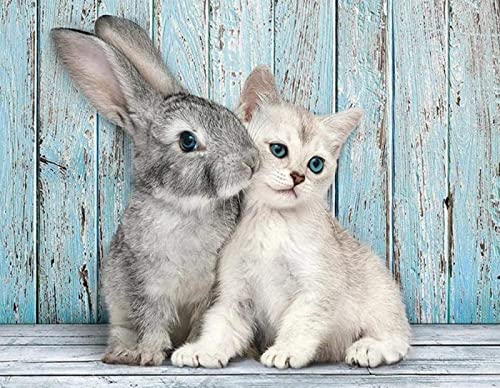Kit peinture au diamant adultes lapin | Idée cadeau amusant 30x40