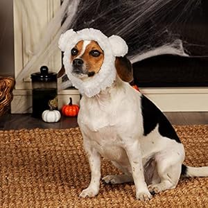 Furhaven-XS-to-SM-Dog-Hat-Washable-Cozy-Sherpa-Flex-Fit-Polar-Bear-Dog-Hat-Costume-Cream-Extra-Small-to-Small - Cucciolini Doodles   Furhaven-XS-to-SM-Dog-Hat-Washable-Cozy-Sherpa-Flex-Fit-Polar-Bear-Dog-Hat-Costume-Cream-Extra-Small-to-Small